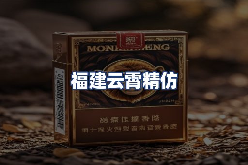 福建云霄精仿